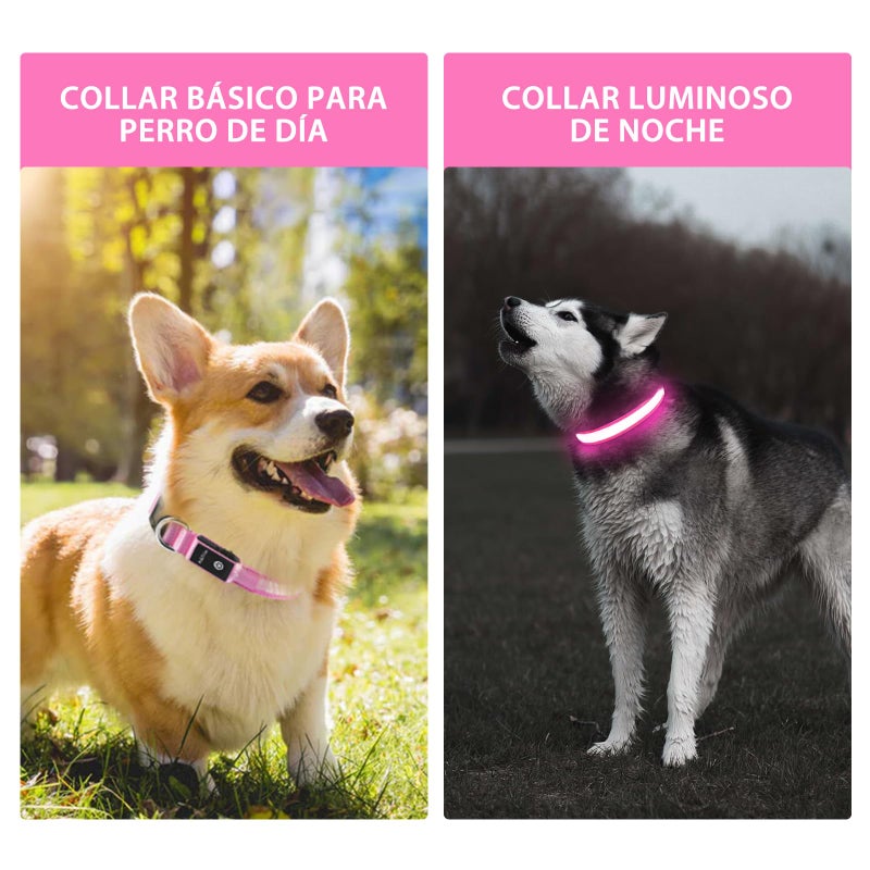 PcEoTllar Light up Dog Collar for Night Walking - LED Dog Collar Light Rechargeable Color Changing, Glow in The Dark Dog Collars Waterproof Glowing Dog Collars for Large Small Medium Dogs - Image 5
